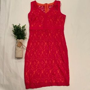 Dress barn Floral lace dress
